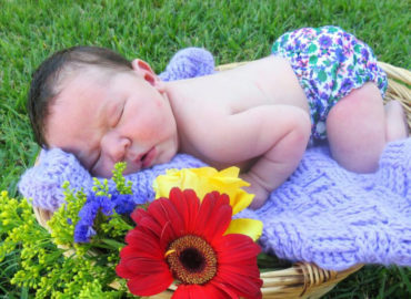 Baby Flowers Home Page