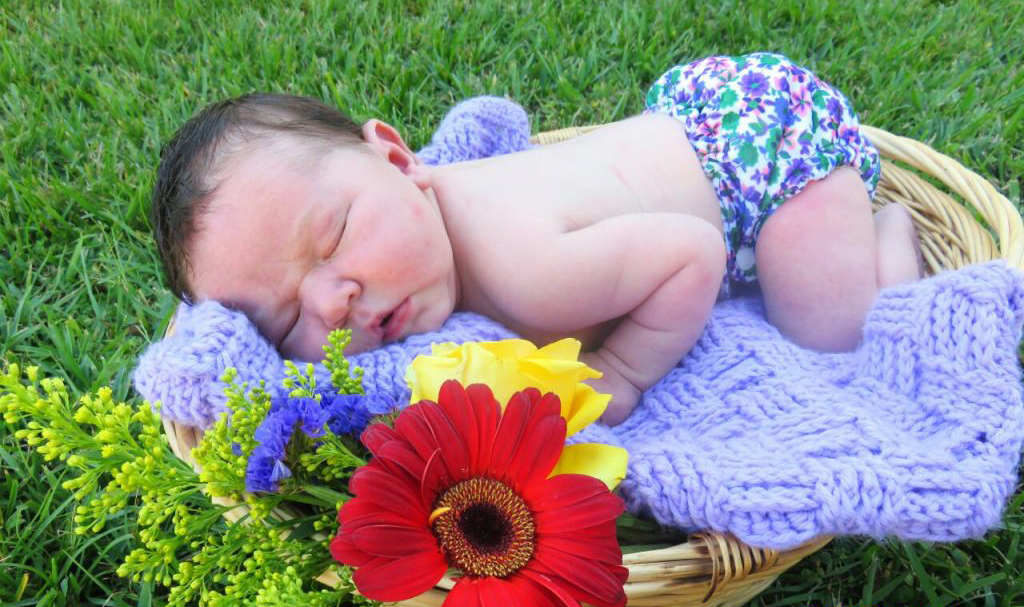 Baby Flowers Home Page